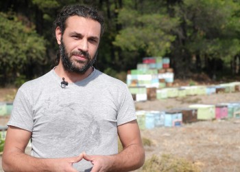 Κάτω από το Πεύκο